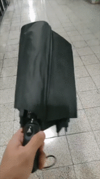 <b>罕见的伞系魔法</b>